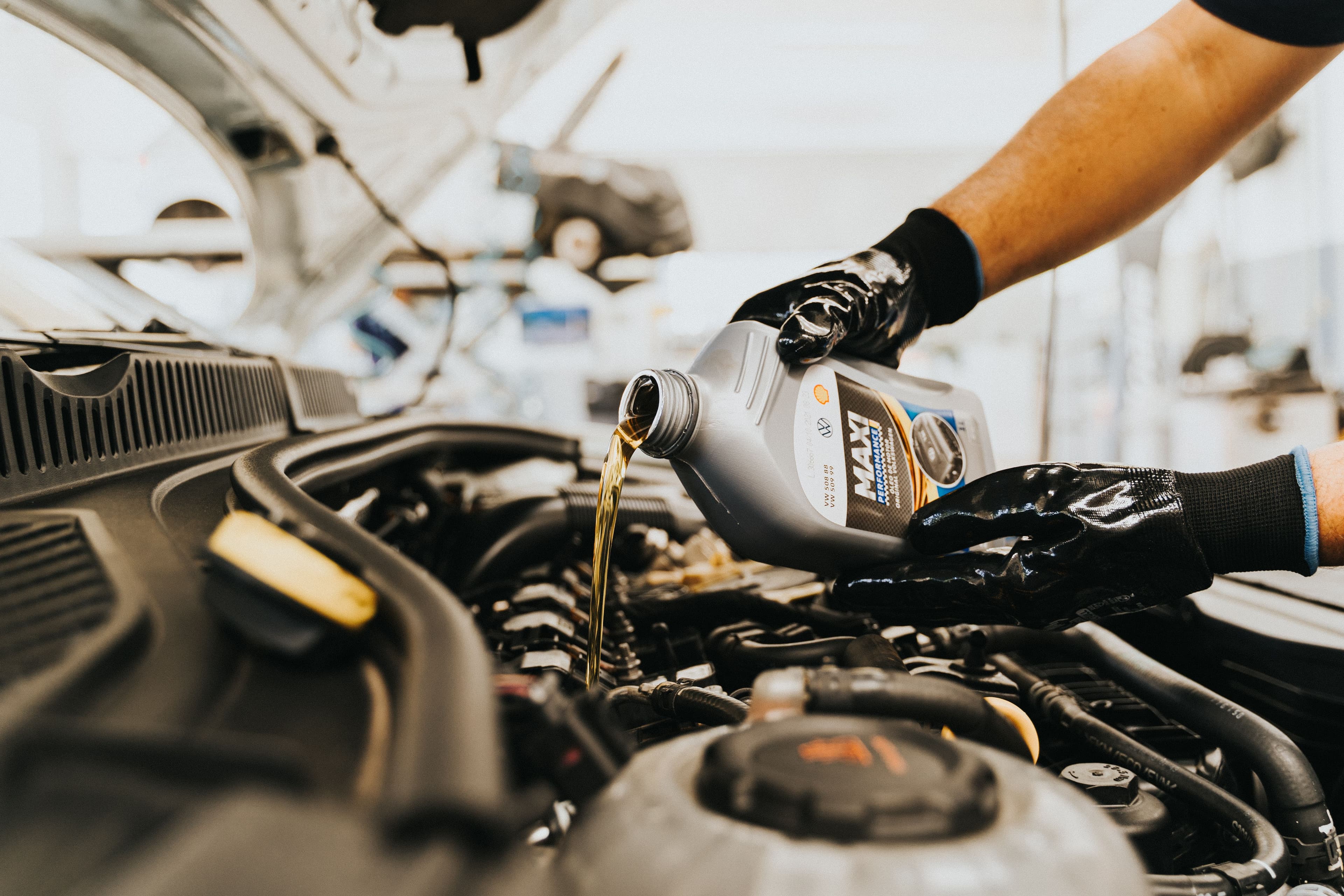 Oil Change & Fluid Check